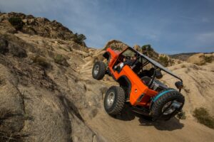 Get The Skinny On This Narrowed Bronco
