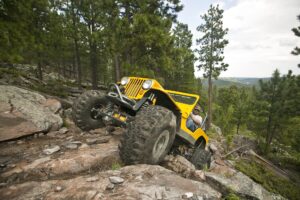 Wild Willys Flatfender