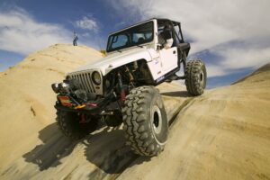 White Sheep Wrangler