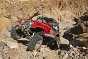 The Mutt CJ5