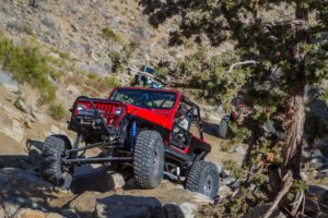Coils Or Coilovers For Your Jeep
